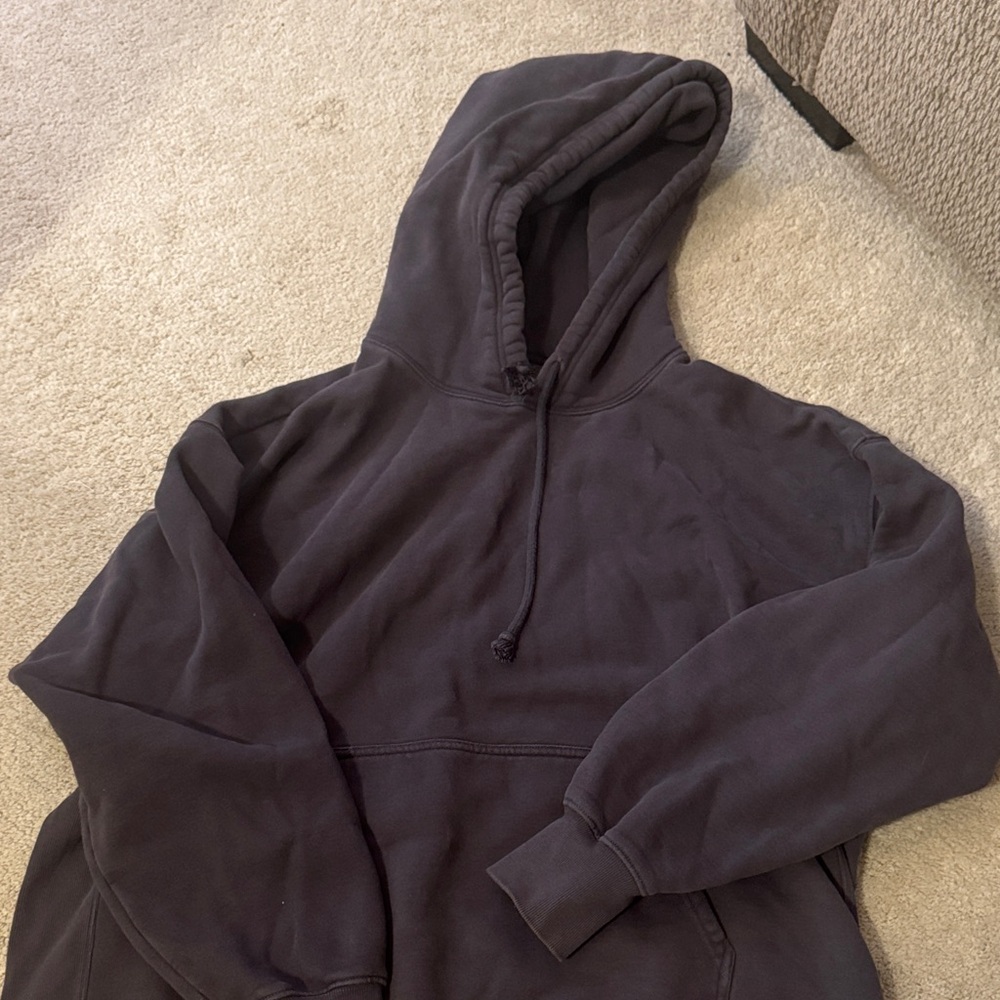 Hoodie Sweater Aritiza
